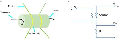 Mesoporous WO3 Nanofibers With Crystalline Framework for High-Performance Acetone Sensing